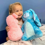 Eleanor the blue stuffed bunny rabbit and her new best friend!