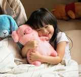 Hamilton the cute pig stuffed pig plush toy with his best hooman friend