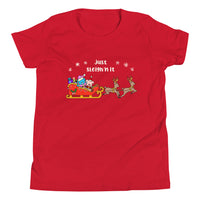 Just Sleighin' it - Youth T-Shirt